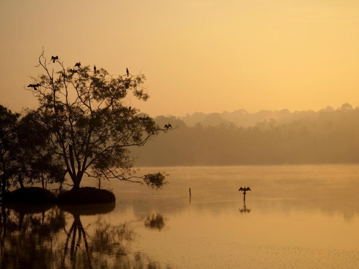 Ganesh Ayurveda Holiday Home Bed And Breakfast โกวาลัม ภายนอก รูปภาพ